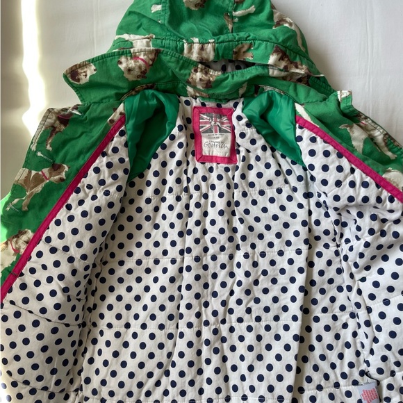 Mini Biden Jack Russel Terrier Dog Jacket - Picture 3 of 4